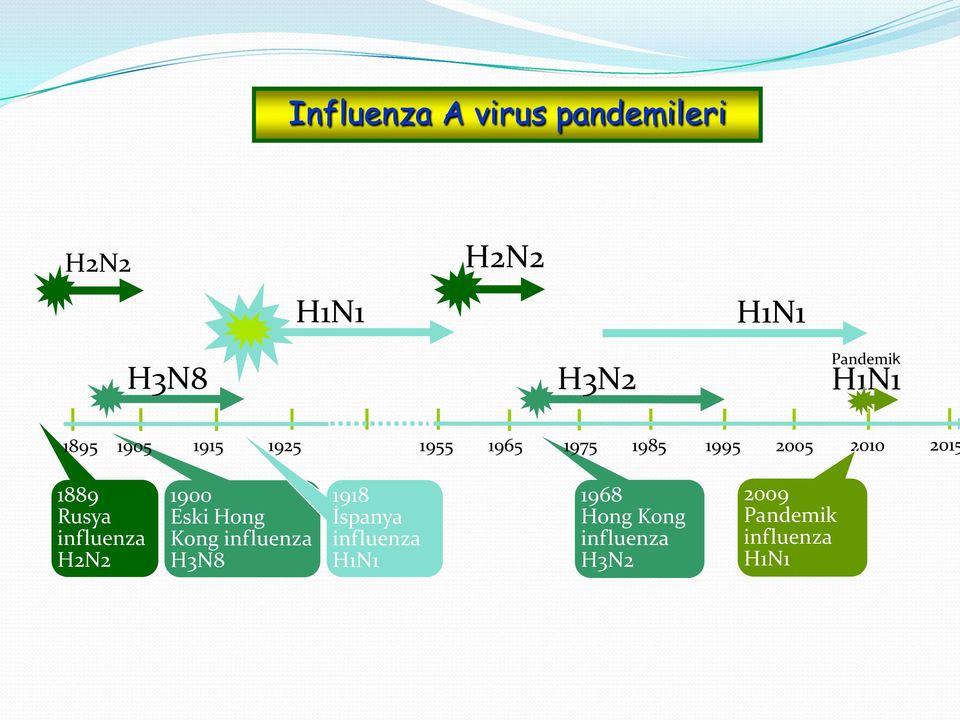 Rusya influenza H2N2 1900 Eski Hong Kong influenza H3N8 1918 İspanya