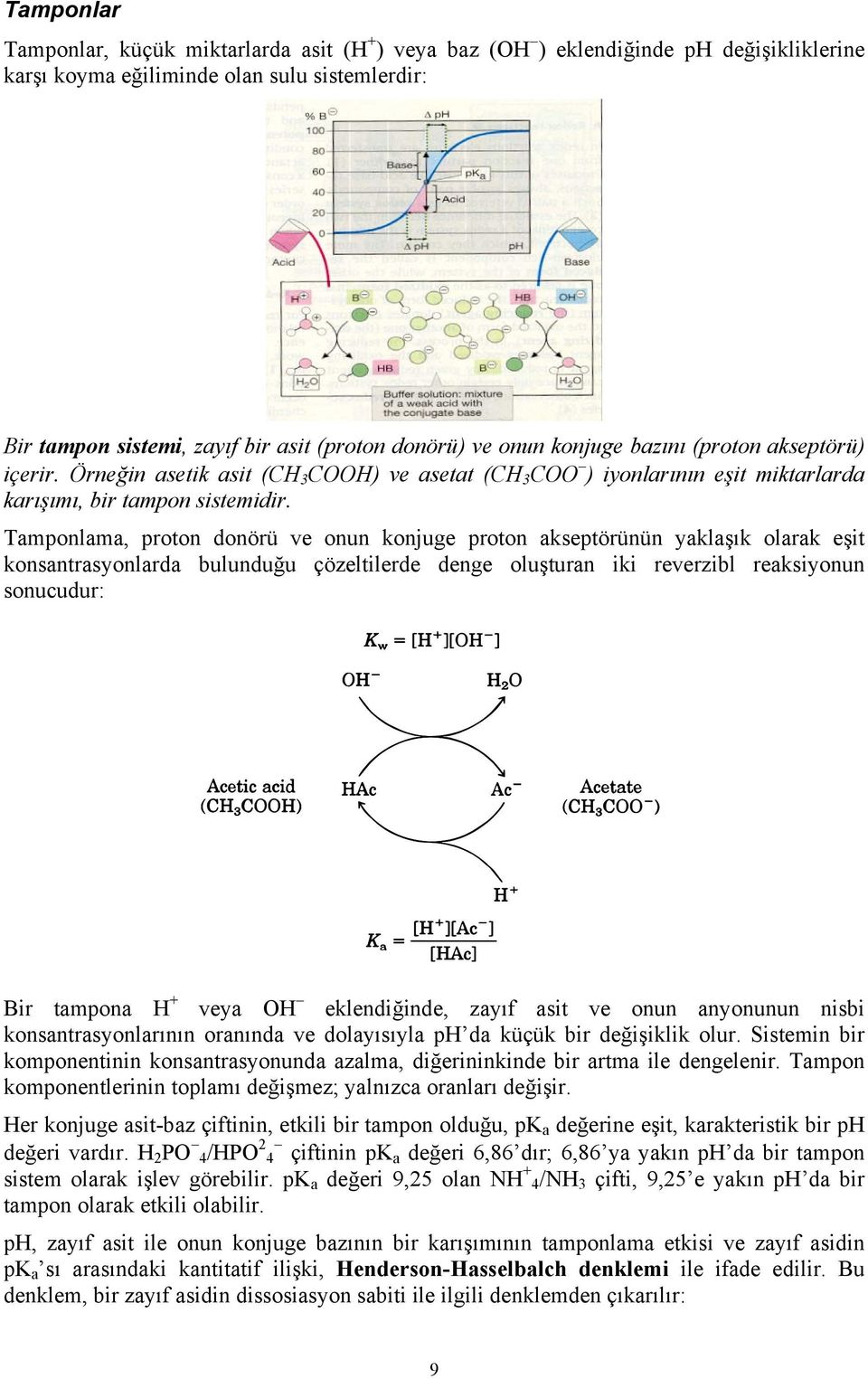 Tamponlama, proton donörü ve onun konjuge proton akseptörünün yaklaşık olarak eşit konsantrasyonlarda bulunduğu çözeltilerde denge oluşturan iki reverzibl reaksiyonun sonucudur: Bir tampona H + veya