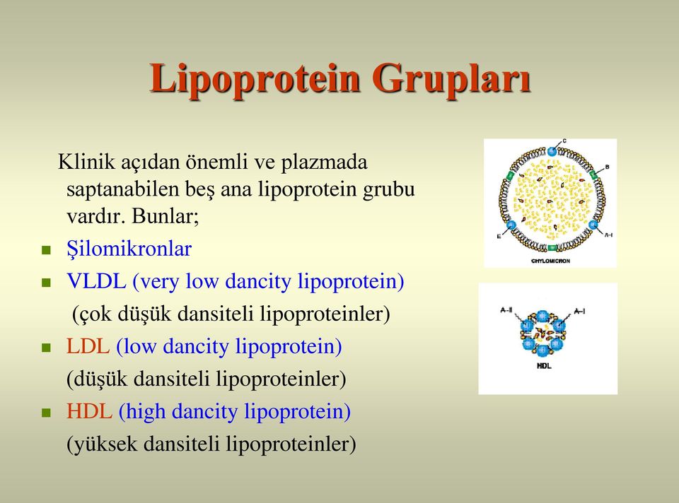 Bunlar; Şilomikronlar VLDL (very low dancity lipoprotein) (çok düşük dansiteli