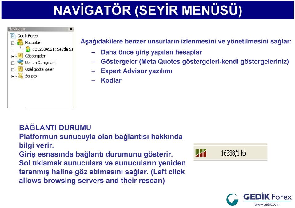 Platformun sunucuyla olan bağlantısı hakkında bilgi verir. Giriş esnasında bağlantı durumunu gösterir.