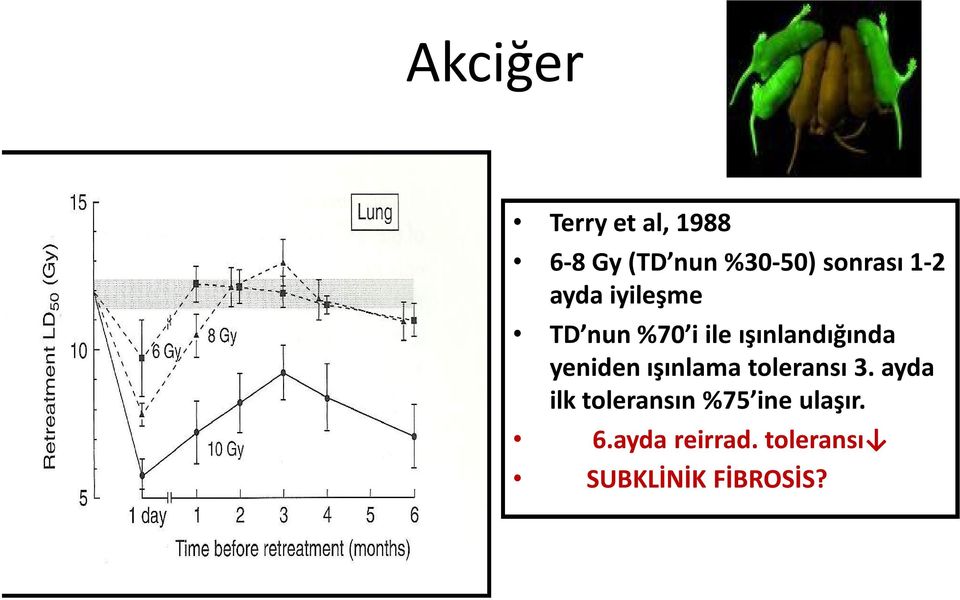 ışınlandığında yeniden ışınlama toleransı 3.