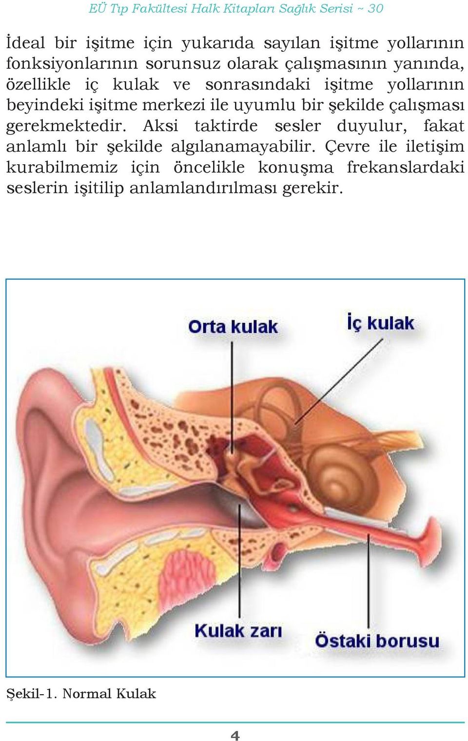 uyumlu bir şekilde çalışması gerekmektedir. Aksi taktirde sesler duyulur, fakat anlamlı bir şekilde algılanamayabilir.