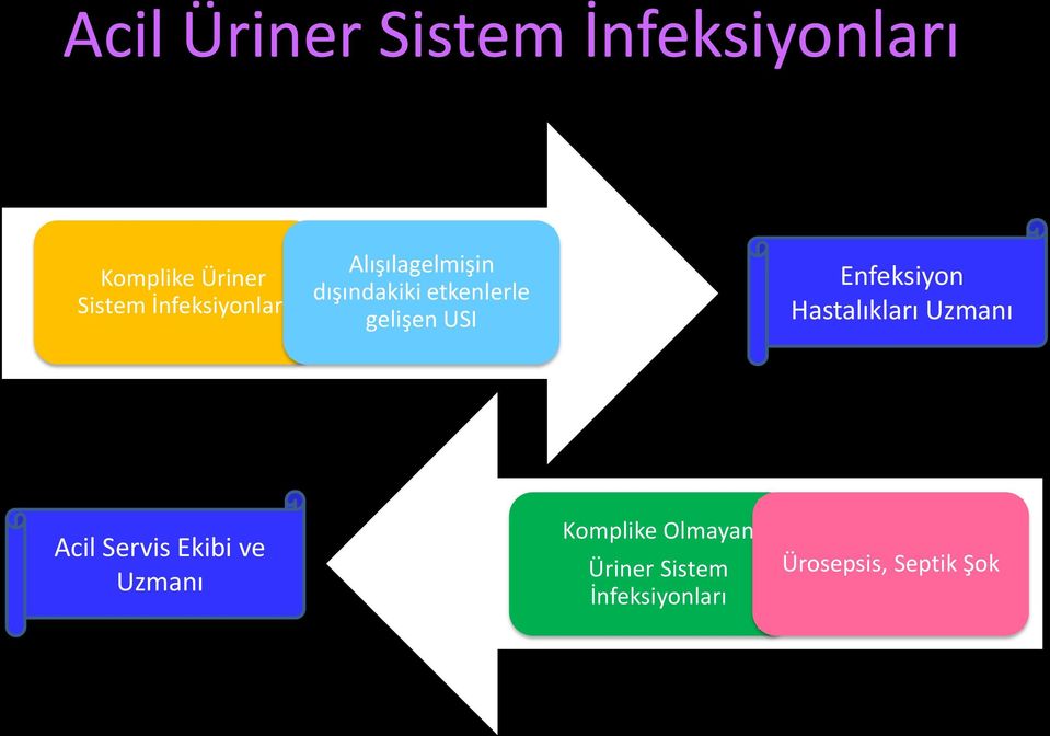 USI Enfeksiyon Hastalıkları Uzmanı Acil Servis Ekibi ve Uzmanı