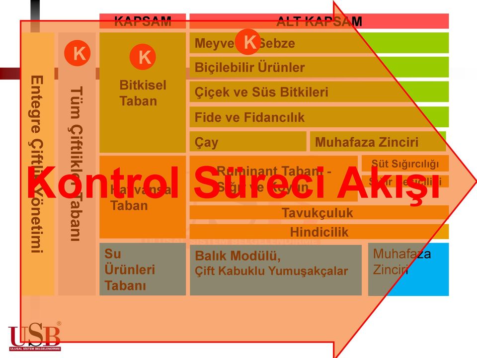 Tabanı - Akışı Hayvansal Sığır ve Koyun Sığır Besiciliği Taban Tavukçuluk Balık