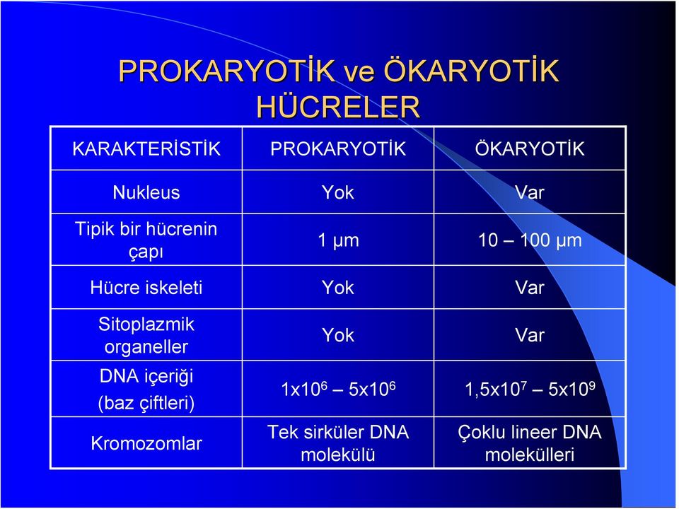 Var Sitoplazmik organeller DNA içeriği (baz çiftleri) Kromozomlar Yok Var