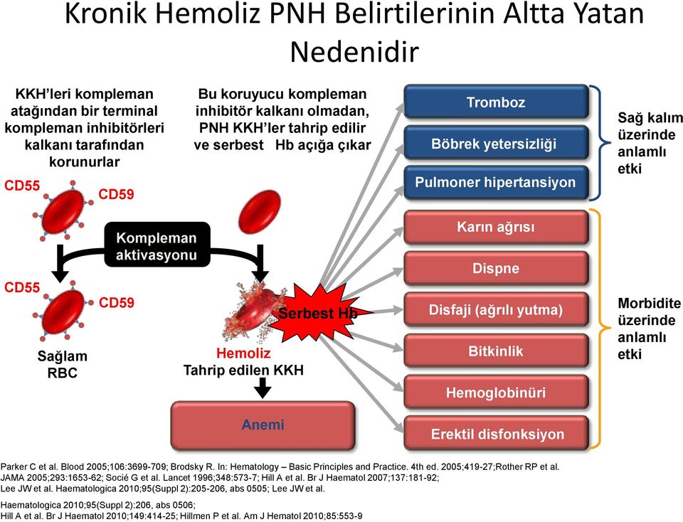 Hemoliz Tahrip edilen KKH Serbest Hb Karın ağrısı Dispne Disfaji (ağrılı yutma) Bitkinlik Hemoglobinüri Morbidite üzerinde anlamlı etki Anemi Erektil disfonksiyon Parker C et al.