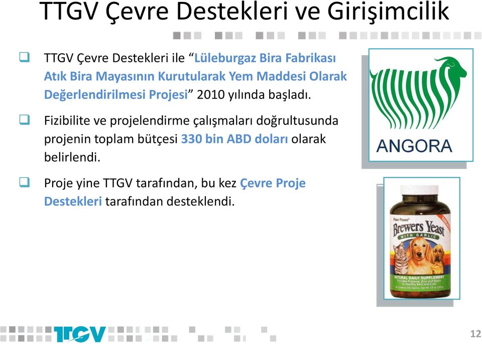 Fizibilite ve projelendirme çalışmaları doğrultusunda projenin toplam bütçesi 330 bin ABD doları