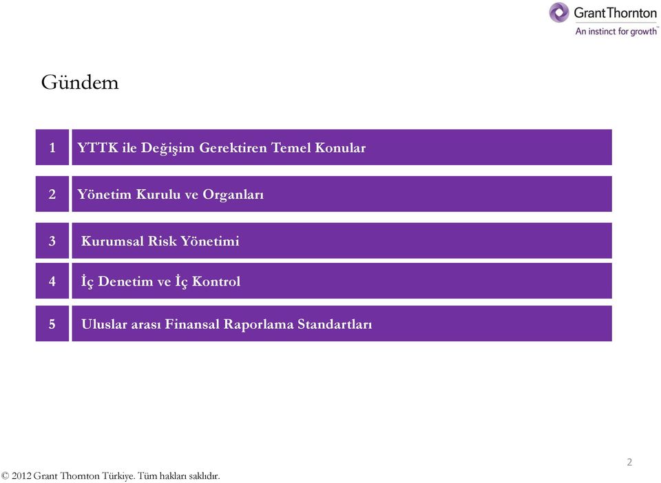 Kurumsal Risk Yönetimi İç Denetim ve İç