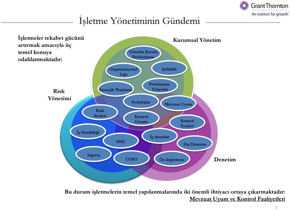 Politikalar Kontrol Ortamı Performans Yönetimi İç denetim Mevzuat Uyum Kontrol Testleri Dış Denetim Sigorta COSO Öz değerleme