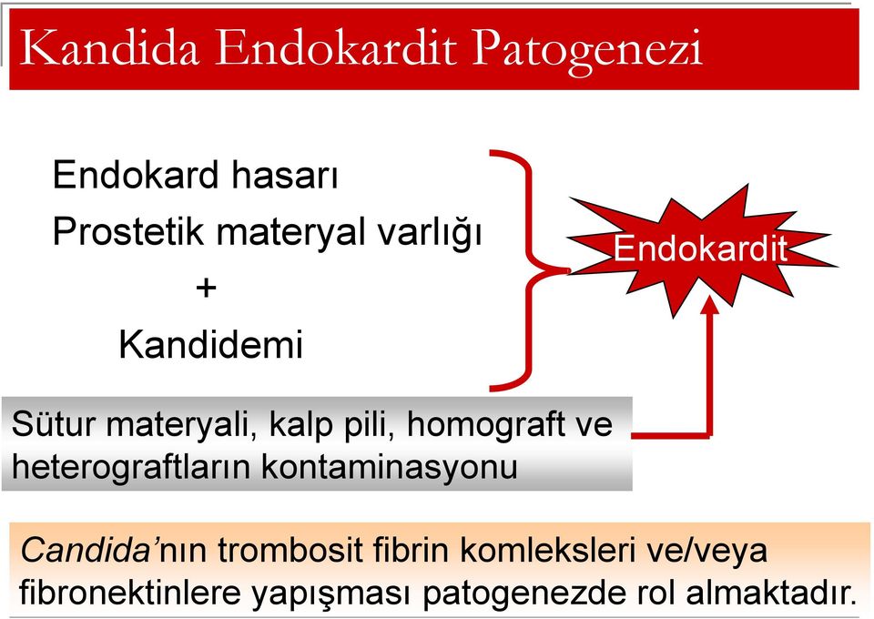 homograft ve heterograftların kontaminasyonu Candida nın trombosit