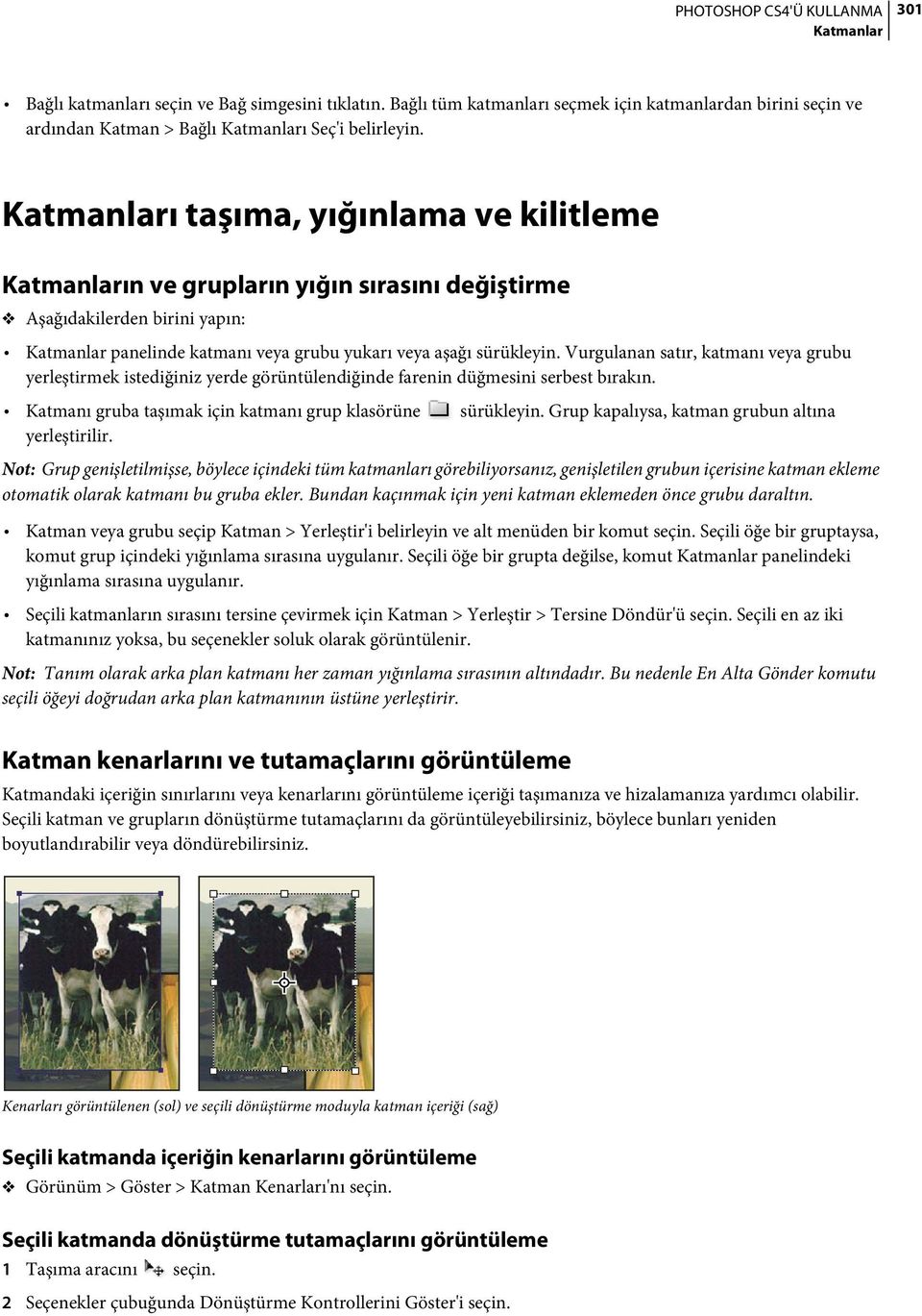 Vurgulanan satır, katmanı veya grubu yerleştirmek istediğiniz yerde görüntülendiğinde farenin düğmesini serbest bırakın. Katmanı gruba taşımak için katmanı grup klasörüne sürükleyin.