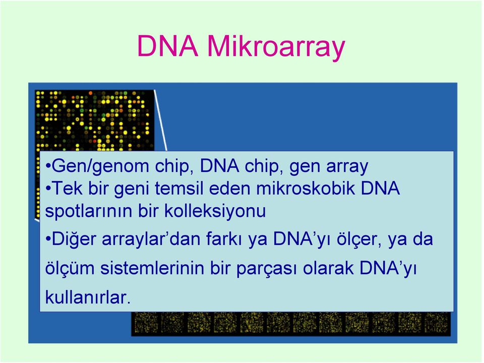 kolleksiyonu Diğer arraylar dan farkı ya DNA yı ölçer,