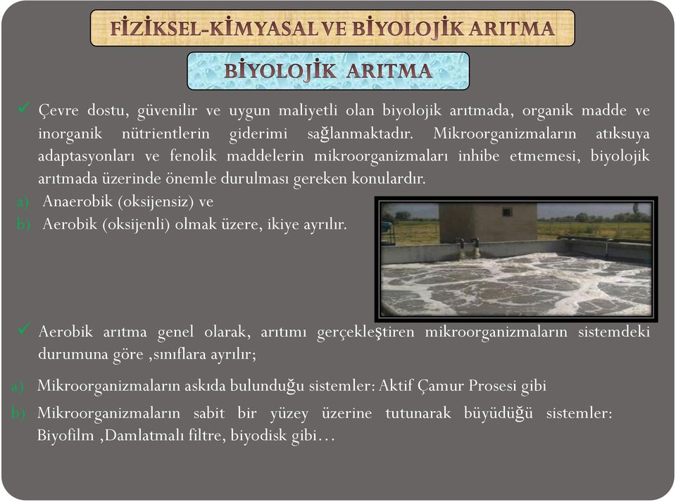 a) Anaerobik (oksijensiz) ve b) Aerobik (oksijenli) olmak üzere, ikiye ayrılır.