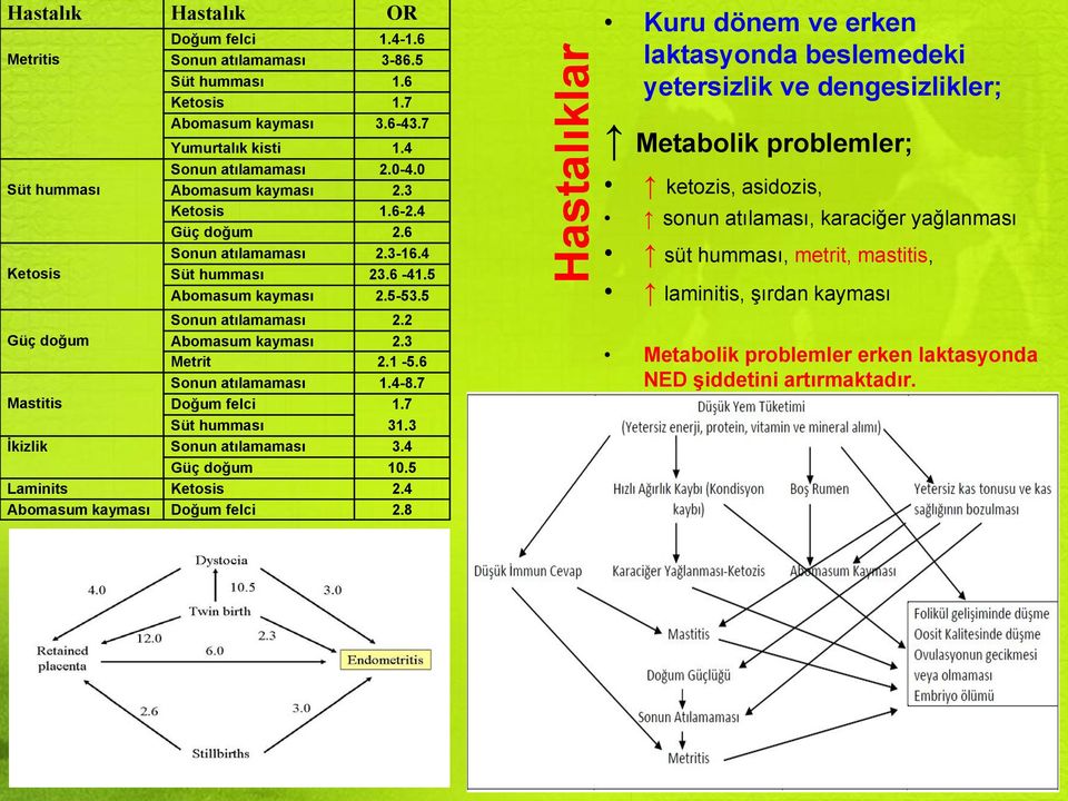 6 Sonun atılamaması 1.4-8.7 Mastitis Doğum felci 1.7 Süt humması 31.3 İkizlik Sonun atılamaması 3.4 Güç doğum 10.5 Laminits Ketosis 2.4 Abomasum kayması Doğum felci 2.