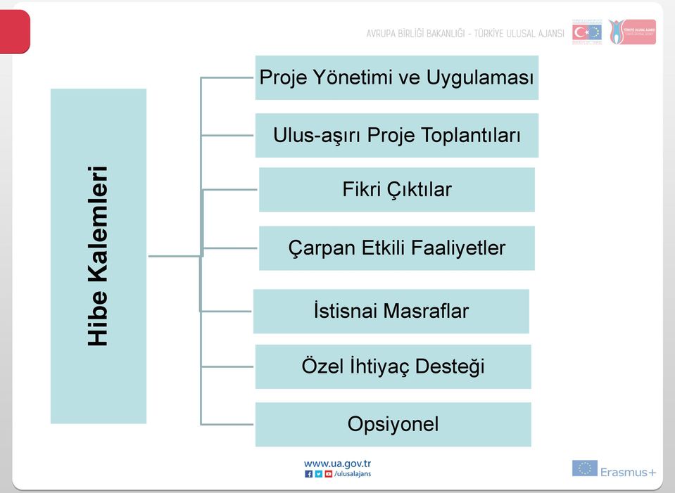 Fikri Çıktılar Çarpan Etkili Faaliyetler