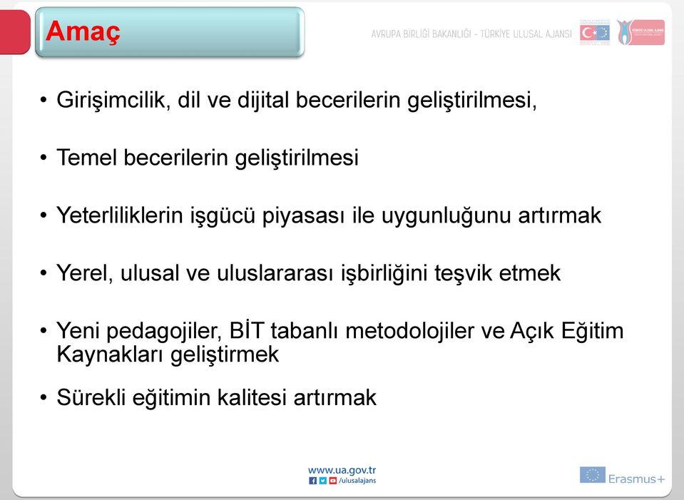 ulusal ve uluslararası işbirliğini teşvik etmek Yeni pedagojiler, BİT tabanlı