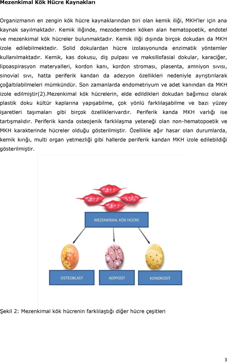 Solid dokulardan hücre izolasyonunda enzimatik yöntemler kullanılmaktadır.