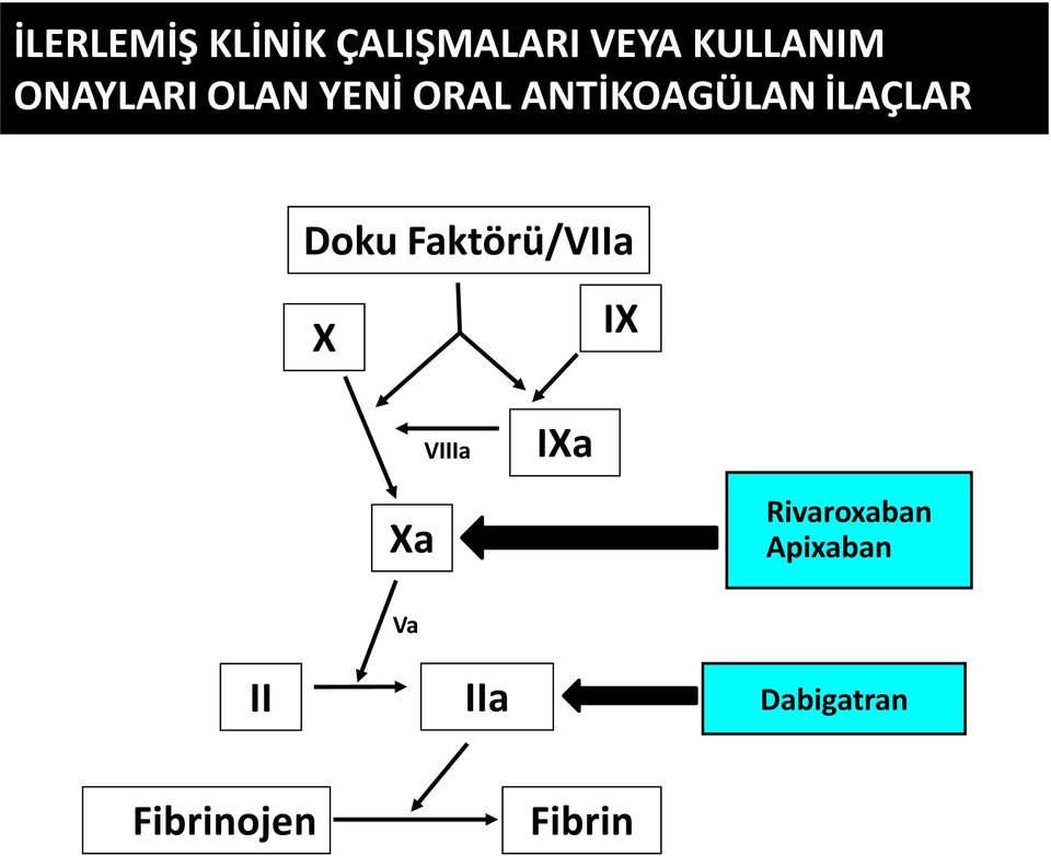 Doku Faktörü/VIIa X IX VIIIa IXa Xa