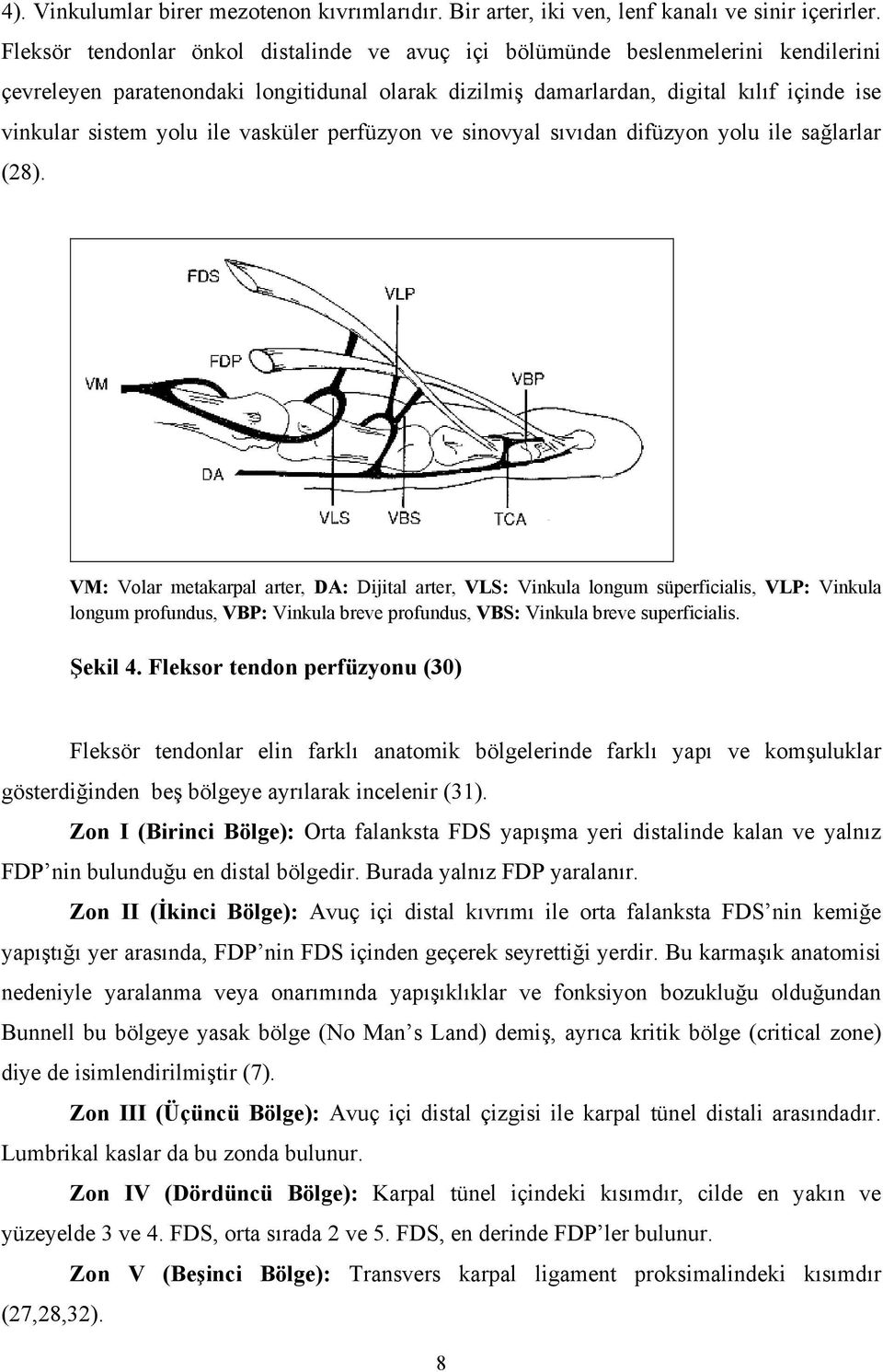 ile vasküler perfüzyon ve sinovyal sıvıdan difüzyon yolu ile sağlarlar (28).