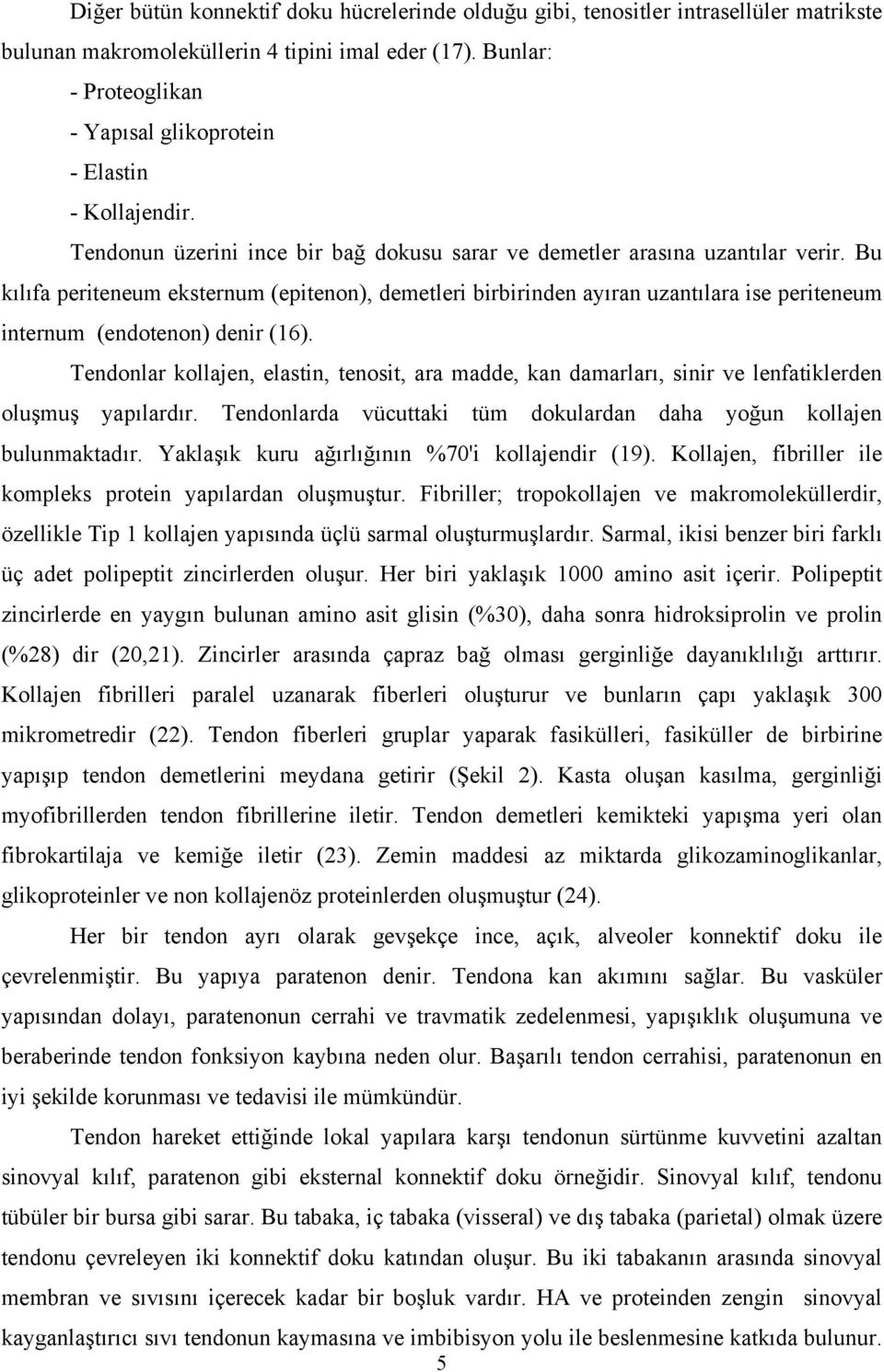 Bu kılıfa periteneum eksternum (epitenon), demetleri birbirinden ayıran uzantılara ise periteneum internum (endotenon) denir (16).