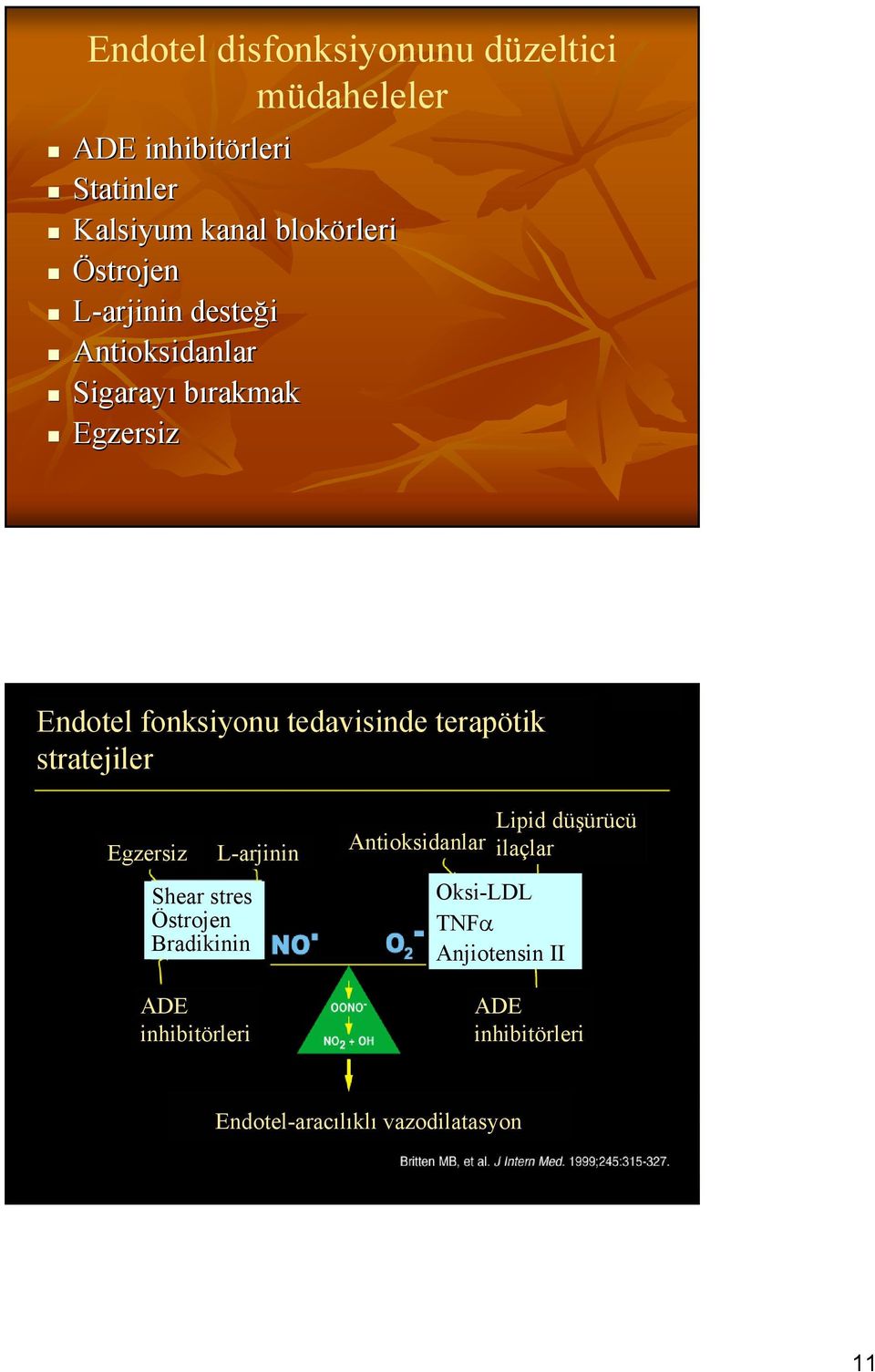 terapötik stratejiler Egzersiz Shear stres Östrojen Bradikinin ADE inhibitörleri L-arjinin