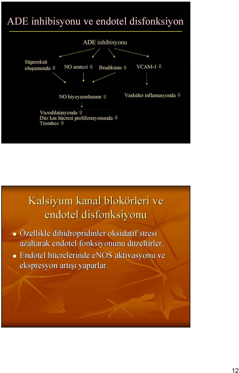 Tromboz Kalsiyum kanal blokörleri ve endotel disfonksiyonu Özellikle dihidropridinler oksidatif stresi