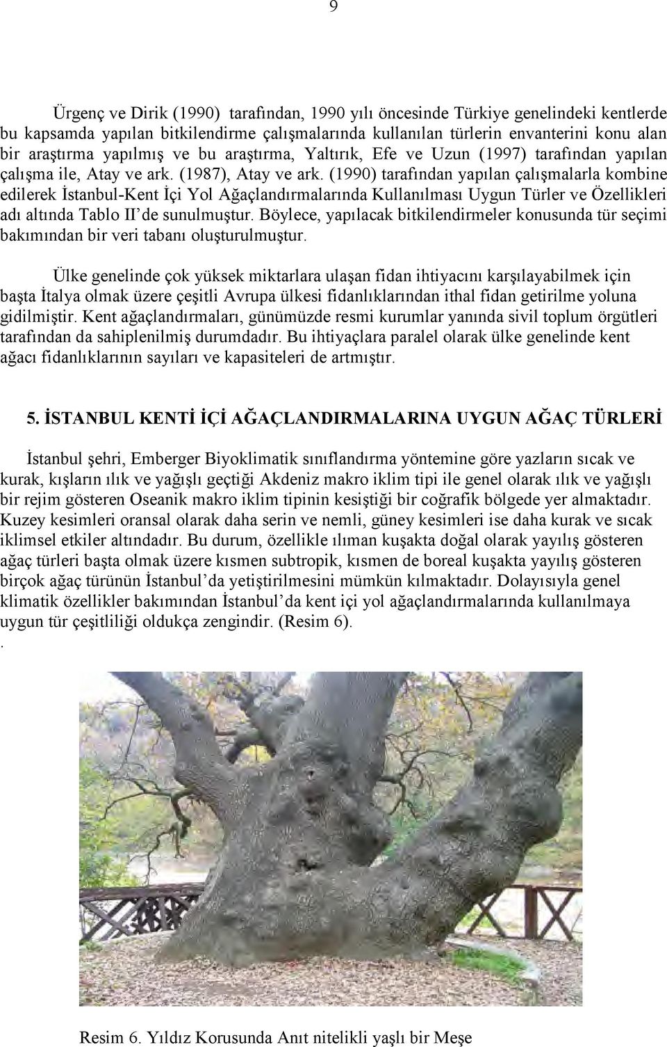 (1990) tarafından yapılan çalışmalarla kombine edilerek İstanbul-Kent İçi Yol Ağaçlandırmalarında Kullanılması Uygun Türler ve Özellikleri adı altında Tablo II de sunulmuştur.