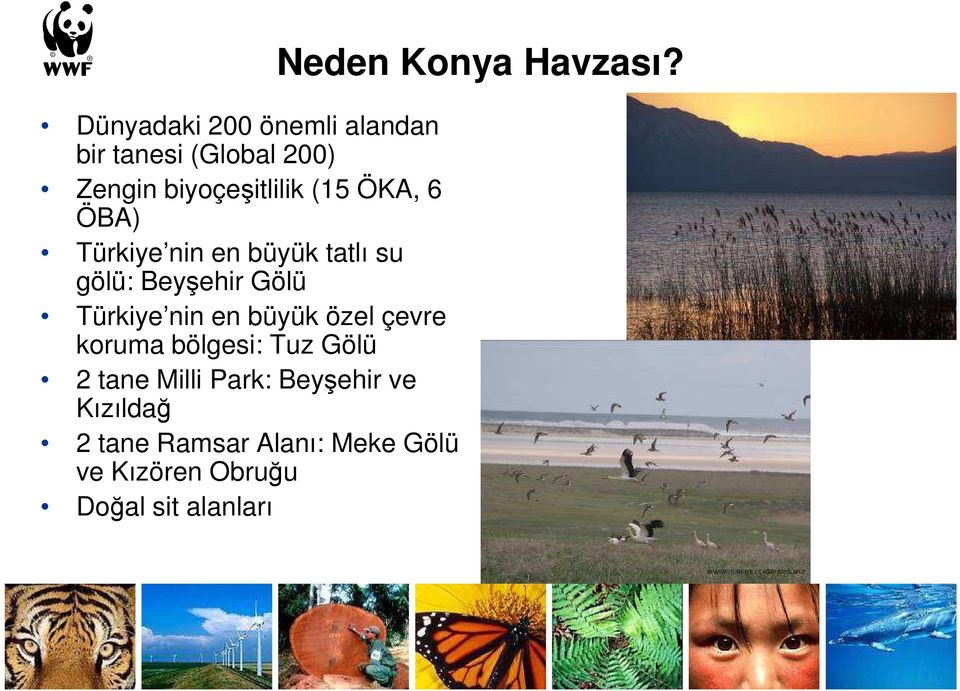 büyük özel çevre koruma bölgesi: Tuz Gölü 2 tane Milli Park: Beyşehir ve Kızıldağ