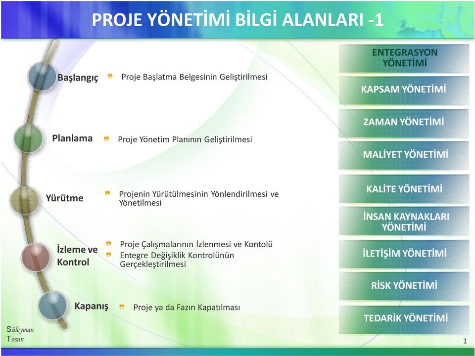 Yönlendirilmesi ve Yönetilmesi Proje Çalışmalarının İzlenmesi ve Kontolü Entegre