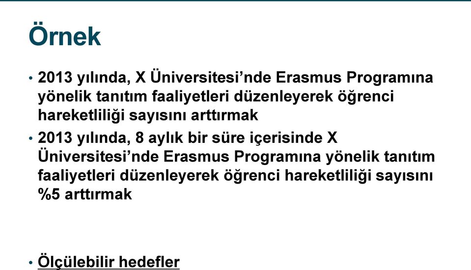 8 aylık bir süre içerisinde X Üniversitesi nde Erasmus Programına yönelik tanıtım