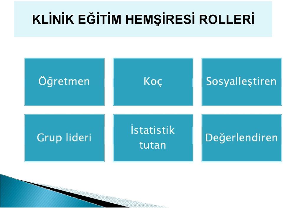 HEMŞİRESİ