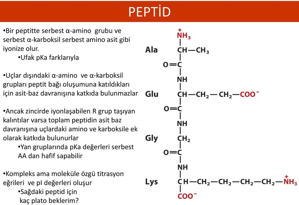 bulunmazlar Ancak zincirde iyonlaşabilen R grup taşıyan kalıntılar varsa toplam peptidin asit baz davranışına uçlardaki amino ve karboksile ek