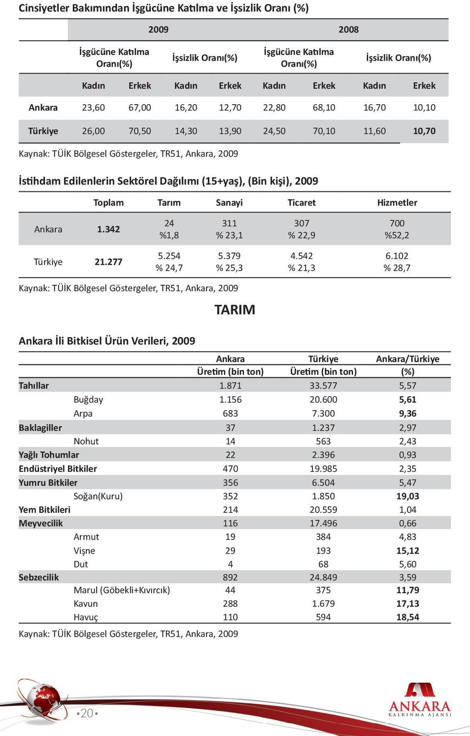 Sektörel Dağılımı (15+yaş), (Bin kişi), 2009 Toplam Tarım Sanayi Ticaret Hizmetler Ankara 1.342 24 %1,8 311 % 23,1 307 % 22,9 700 %52,2 Türkiye 21.277 5.254 % 24,7 5.