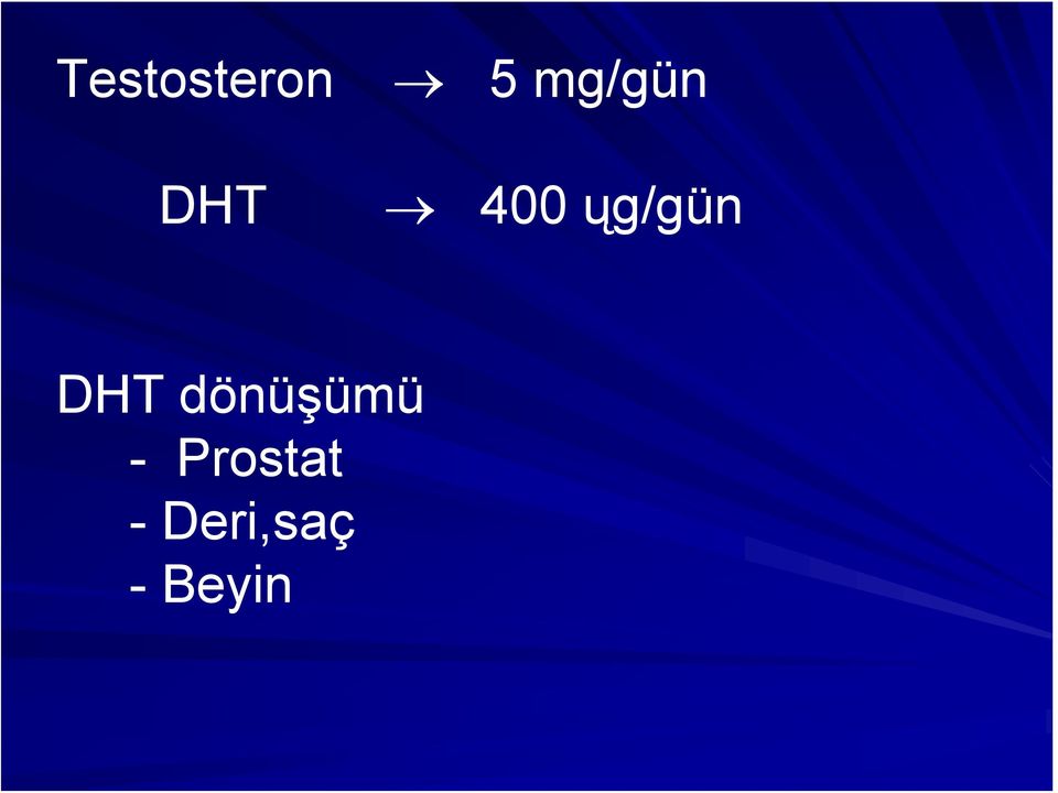 ųg/gün DHT