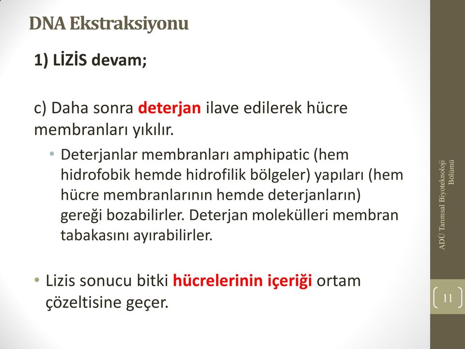 (hem hücre membranlarının hemde deterjanların) gereği bozabilirler.