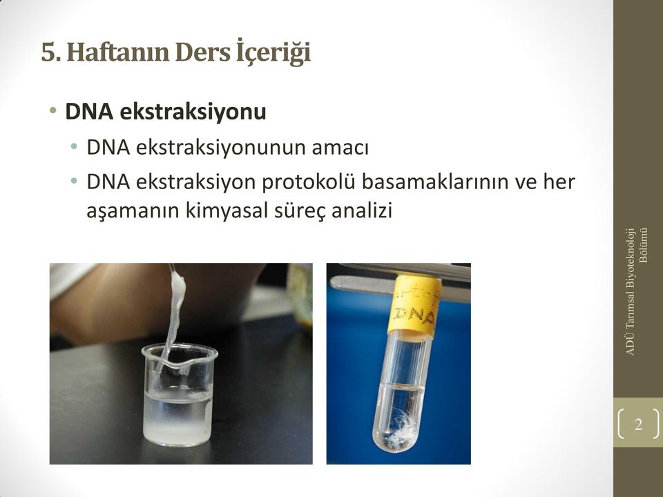 amacı DNA ekstraksiyon protokolü