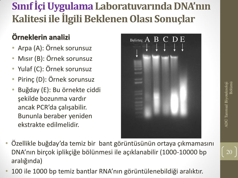 da çalışabilir. Bununla beraber yeniden ekstrakte edilmelidir.