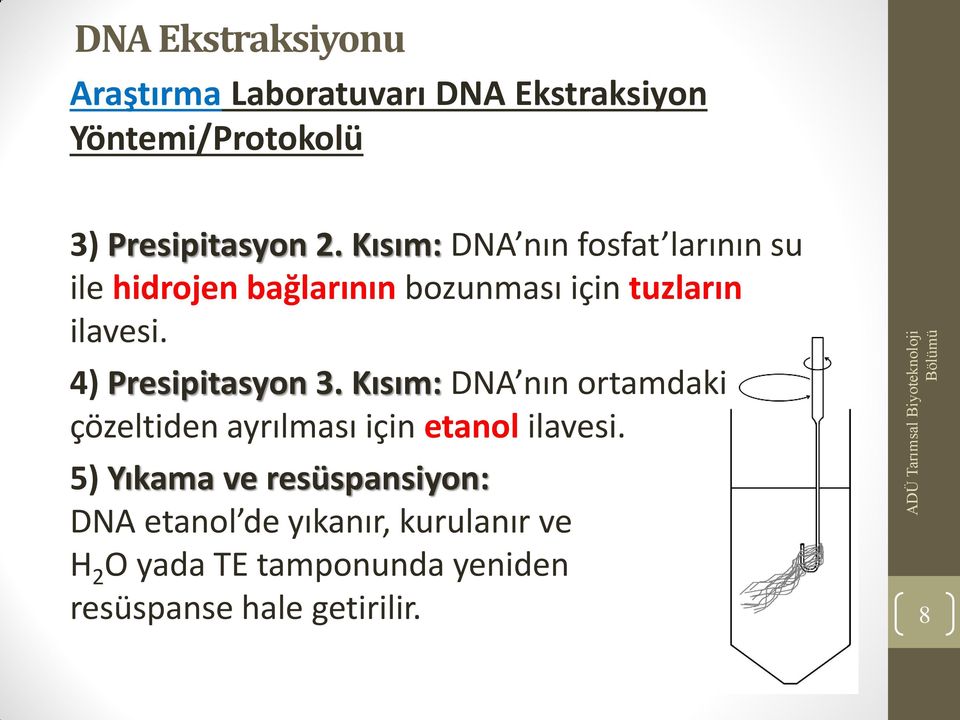 4) Presipitasyon 3. Kısım: DNA nın ortamdaki çözeltiden ayrılması için etanol ilavesi.