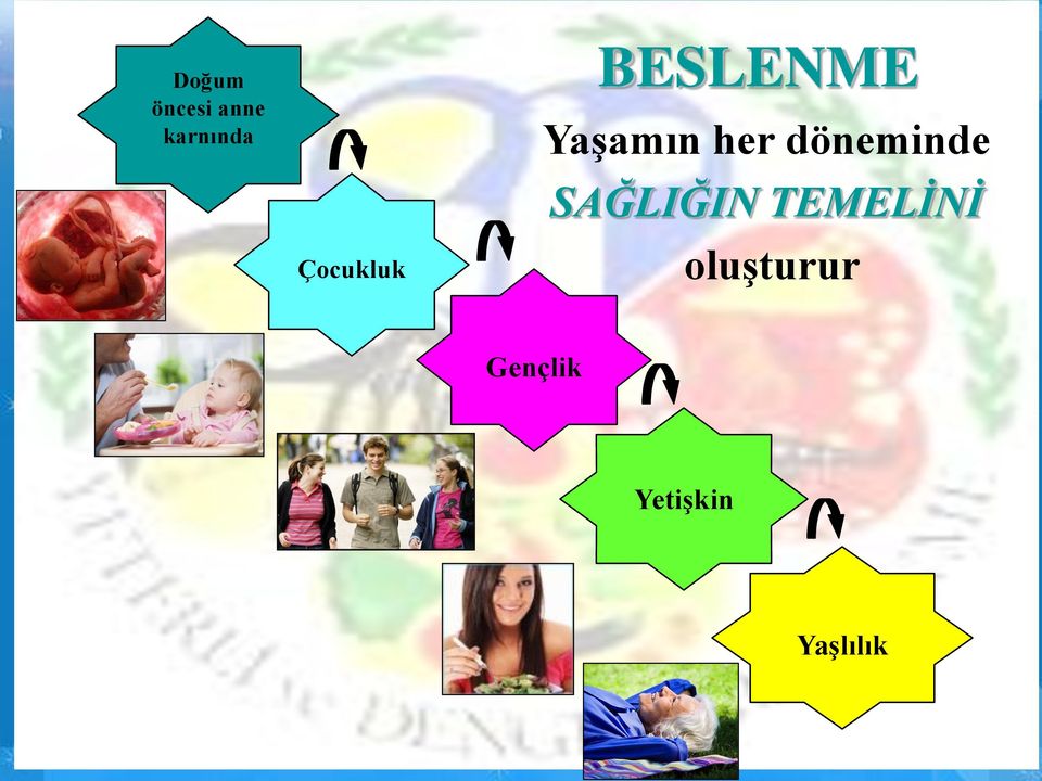 döneminde SAĞLIĞIN TEMELİNİ