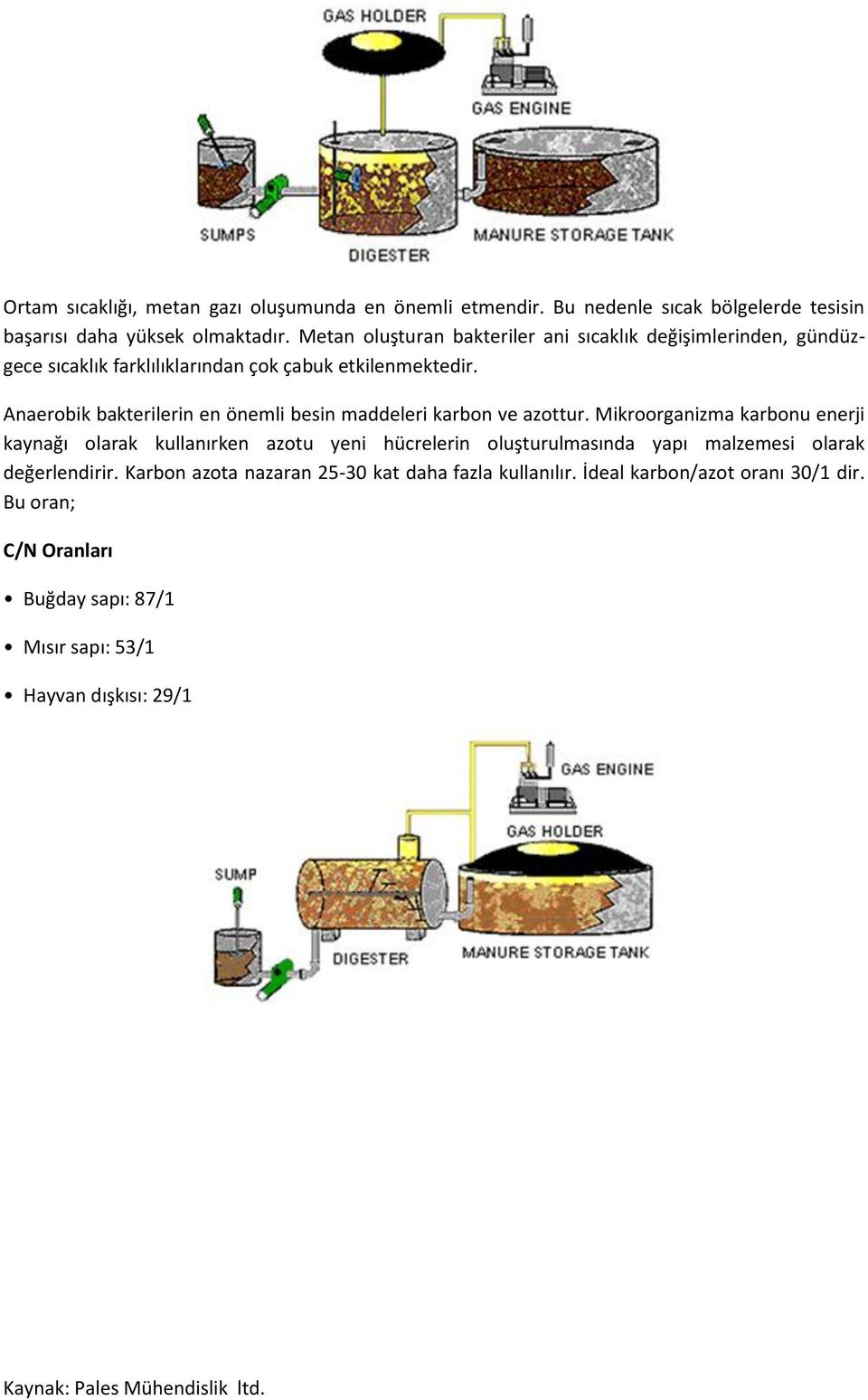 Anaerobik bakterilerin en önemli besin maddeleri karbon ve azottur.