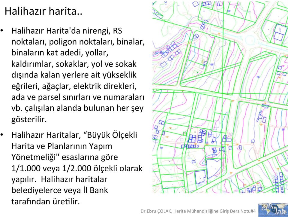 ve sokak dışında kalan yerlere ait yükseklik eğrileri, ağaçlar, elektrik direkleri, ada ve parsel sınırları ve numaraları vb.