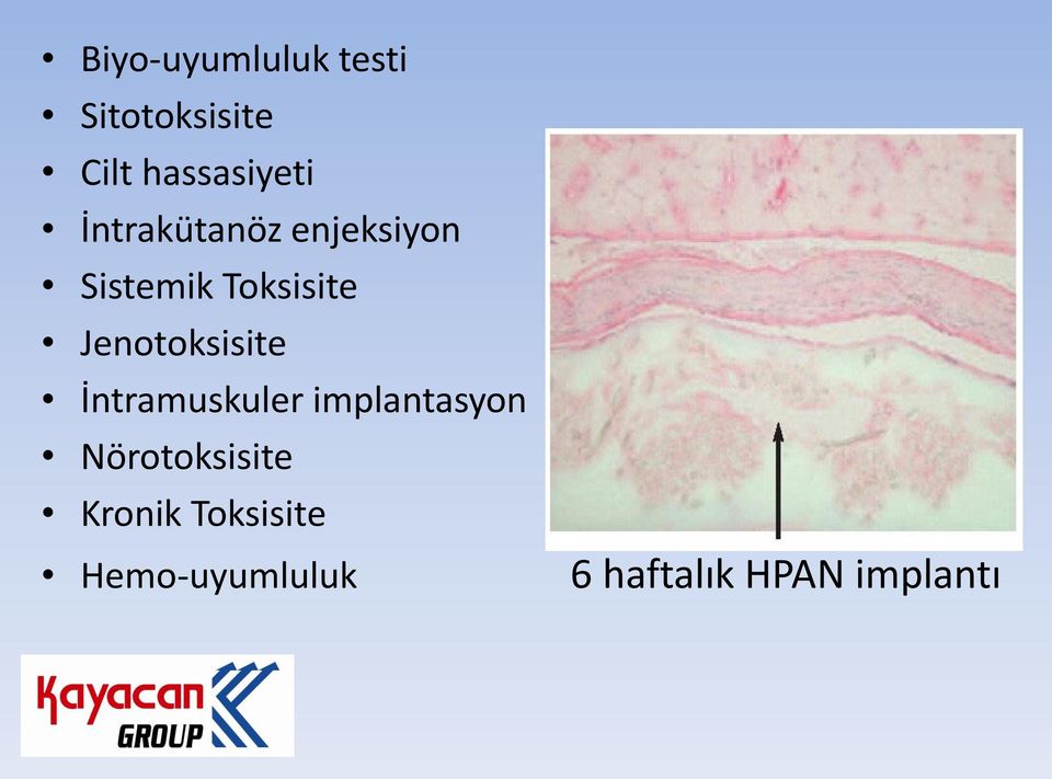 Jenotoksisite İntramuskuler implantasyon