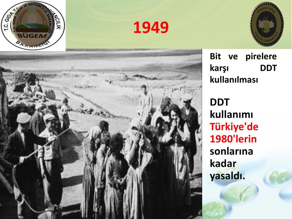 DDT kullanımı Türkiye'de