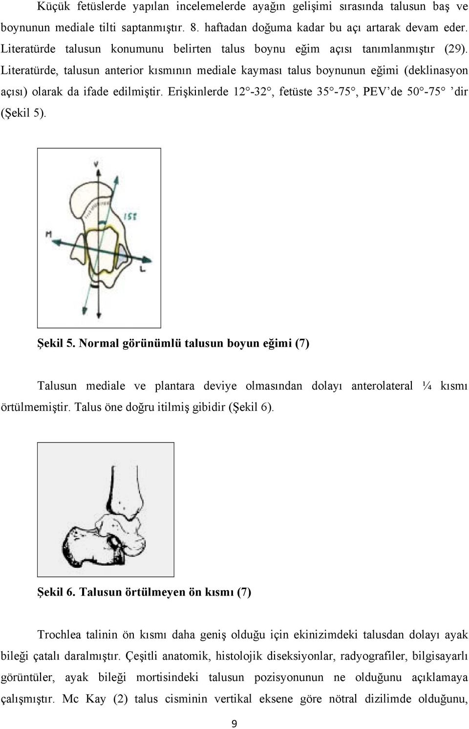 Literatürde, talusun anterior kısmının mediale kayması talus boynunun eğimi (deklinasyon açısı) olarak da ifade edilmiştir. Erişkinlerde 12-32, fetüste 35-75, PEV de 50-75 dir (Şekil 5). Şekil 5.