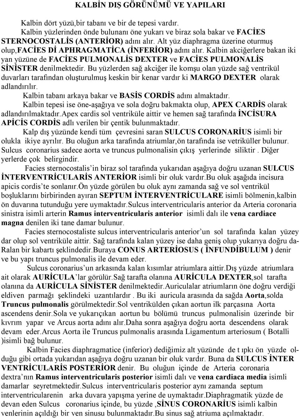 Bu yüzlerden sağ akciğer ile komşu olan yüzde sağ ventrikül duvarları tarafından oluşturulmuş keskin bir kenar vardır ki MARGO DEXTER olarak adlandırılır.