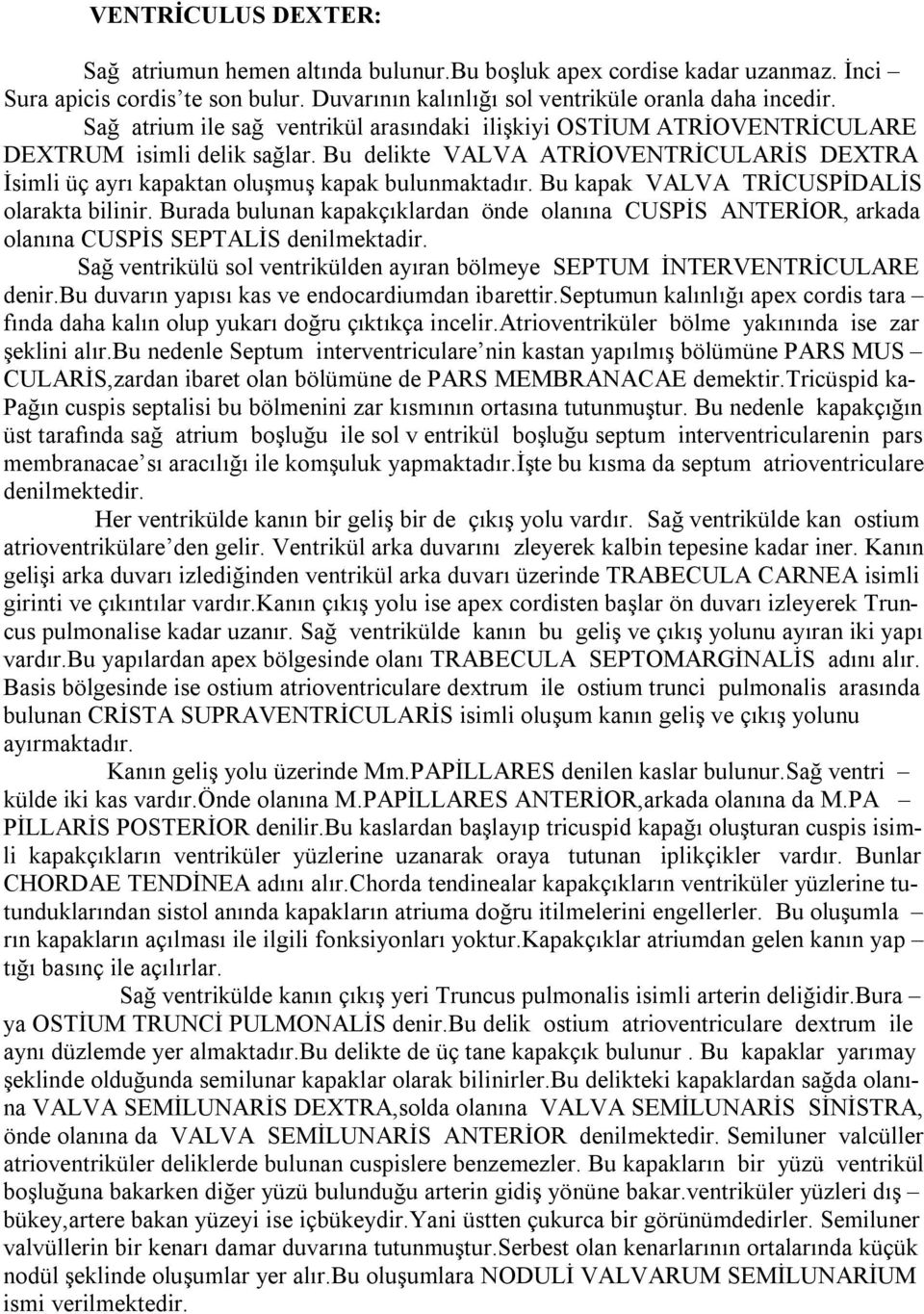 Bu kapak VALVA TRİCUSPİDALİS olarakta bilinir. Burada bulunan kapakçıklardan önde olanına CUSPİS ANTERİOR, arkada olanına CUSPİS SEPTALİS denilmektadir.