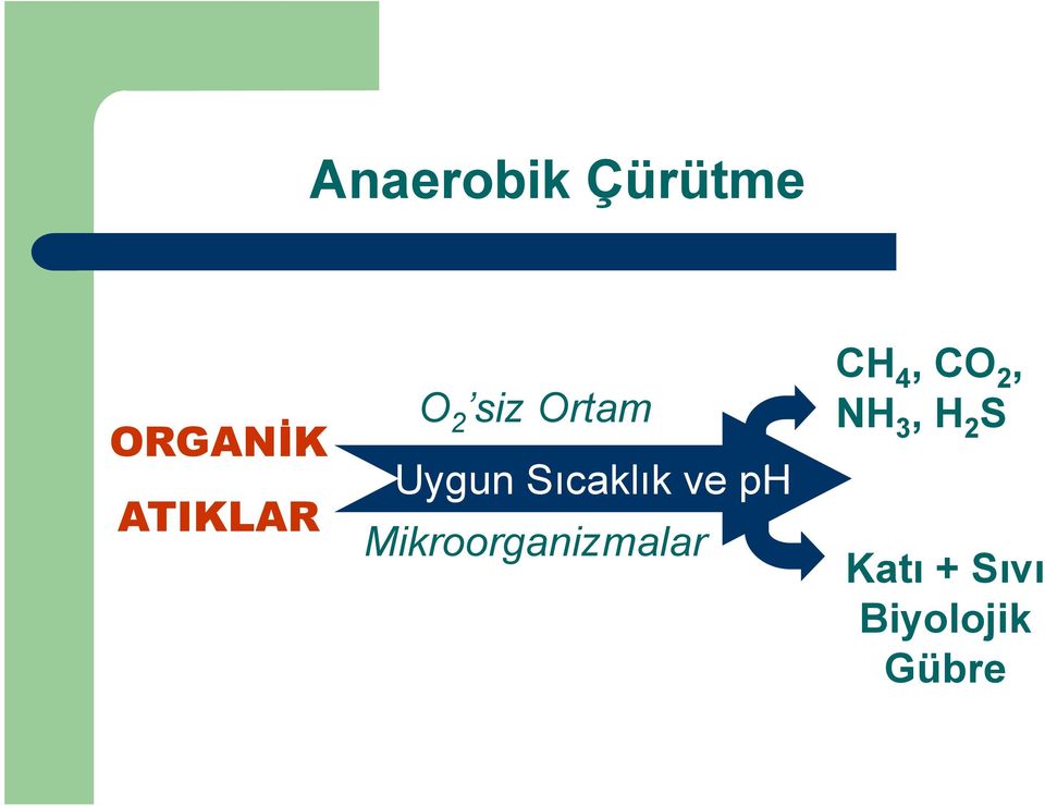 Mikroorganizmalar CH 4, CO 2, NH