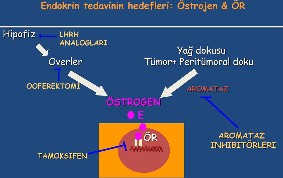 Tümor+ Peritümoral doku OOFEREKTOMİ