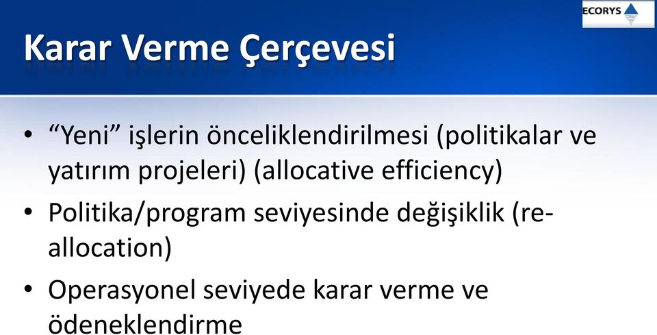 efficiency) Politika/program seviyesinde değişiklik