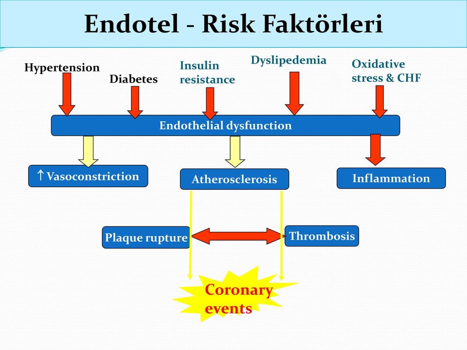 Dyslipedemia Oxidative stress & CHF Endothelial dysfunction